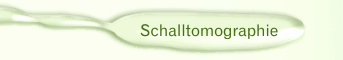 Schalltomographie
